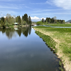 23-05-21 13-42-59 5522